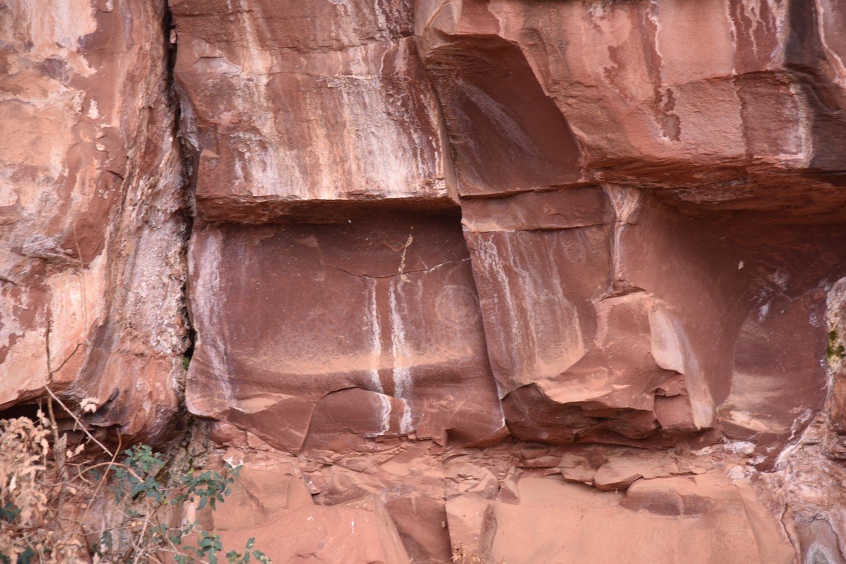 dsc_9058_fs.jpg