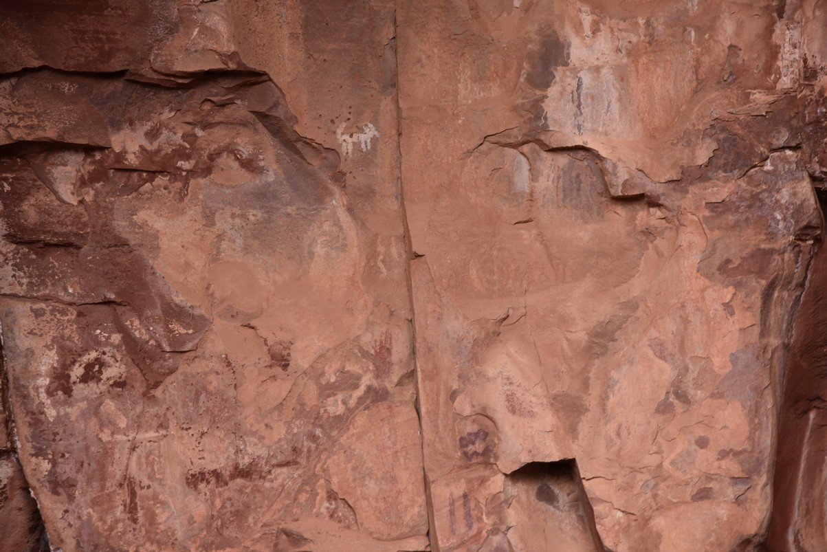 dsc_9060_fs.jpg
