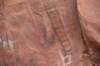 dsc_9074_fs_small.jpg