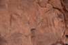 dsc_9076_fs_small.jpg