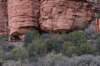 dsc_9078_fs_small.jpg