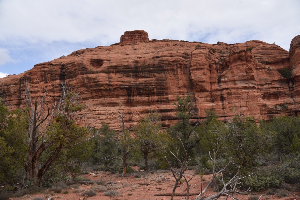 dsc_9092_fs.jpg