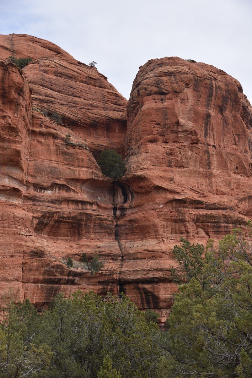 dsc_9094_fs.jpg