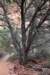dsc_9103_fs_small.jpg