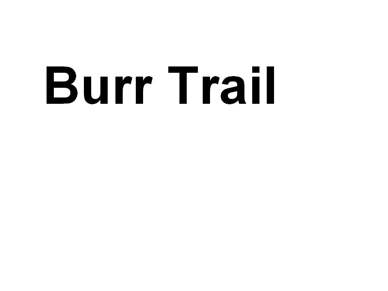 burrtrail.jpg