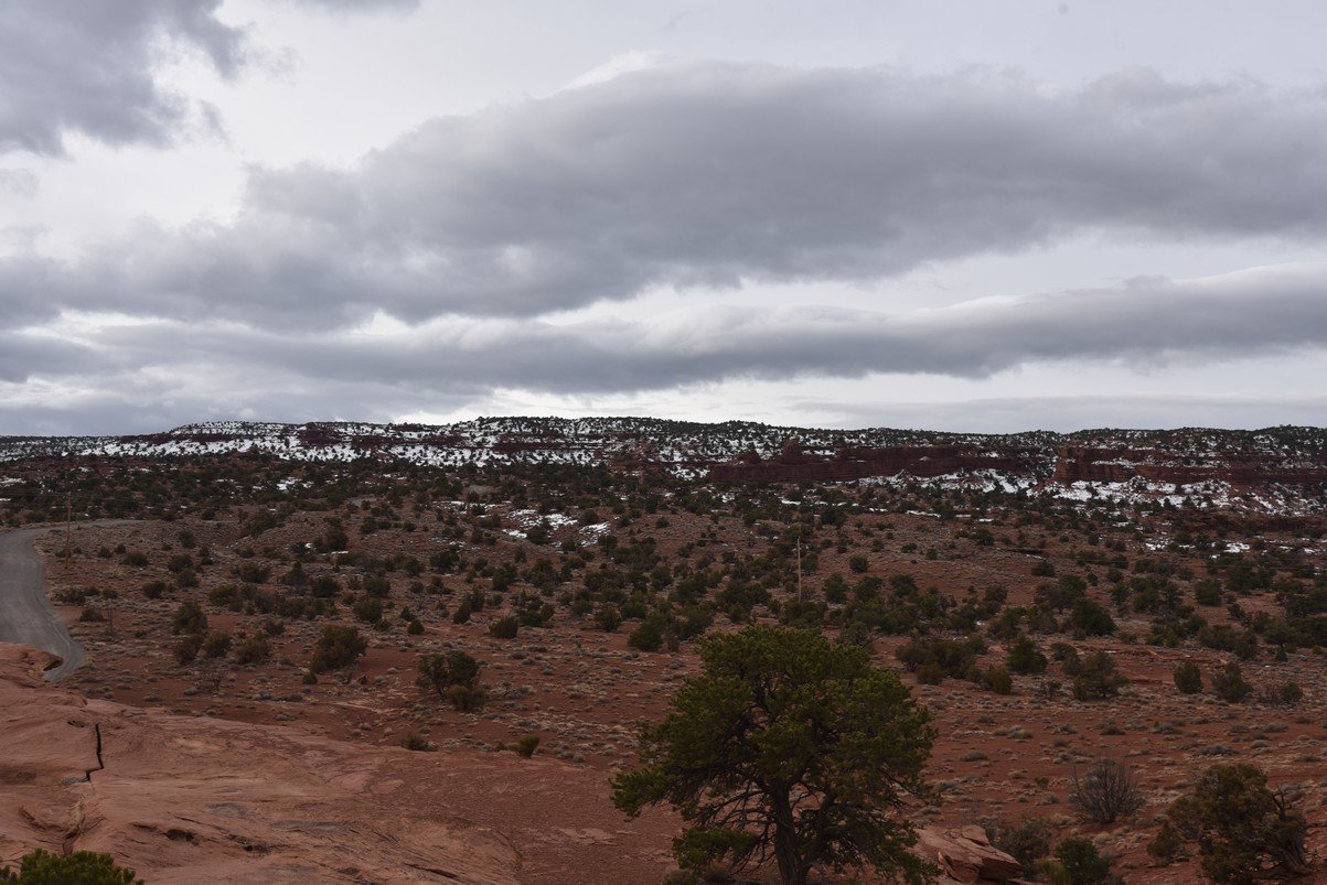 dsc_3550_fs.jpg