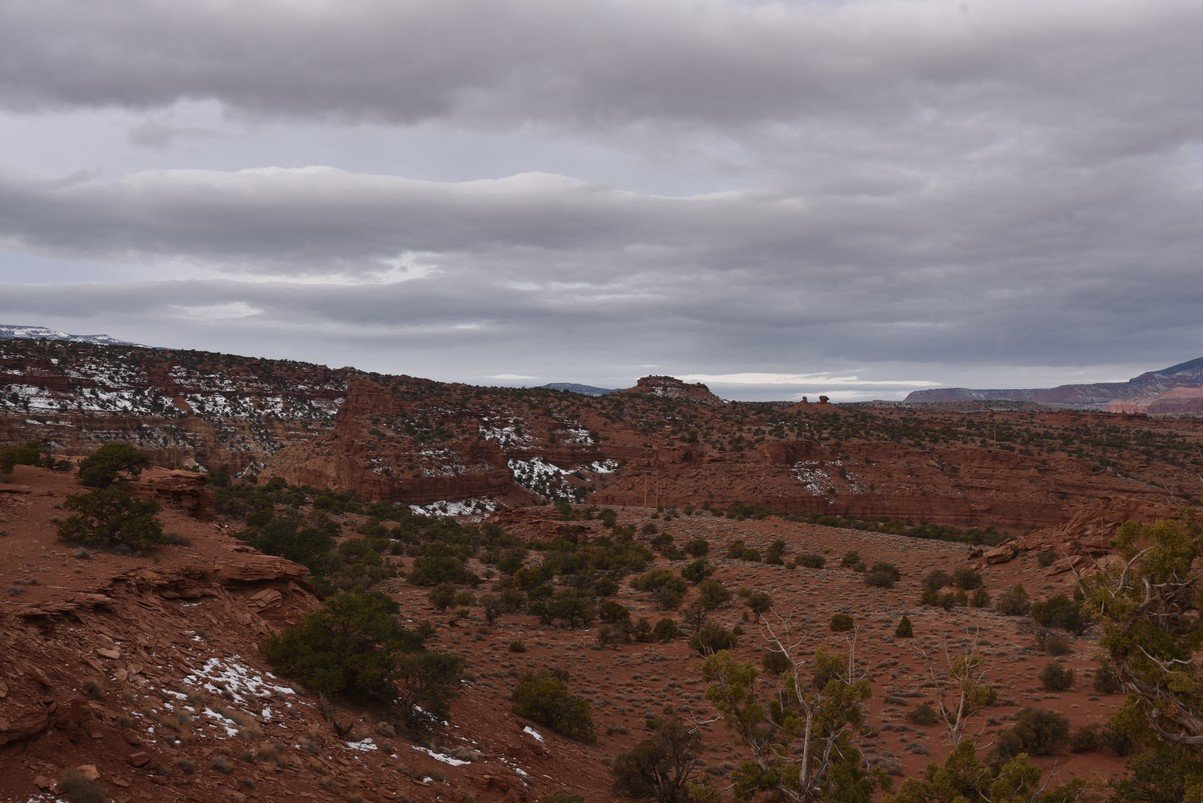 dsc_3554_fs.jpg