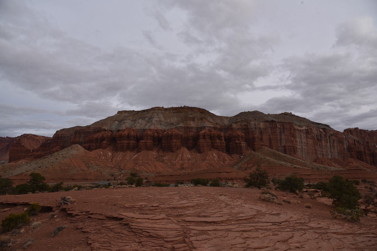 dsc_3560_fs.jpg