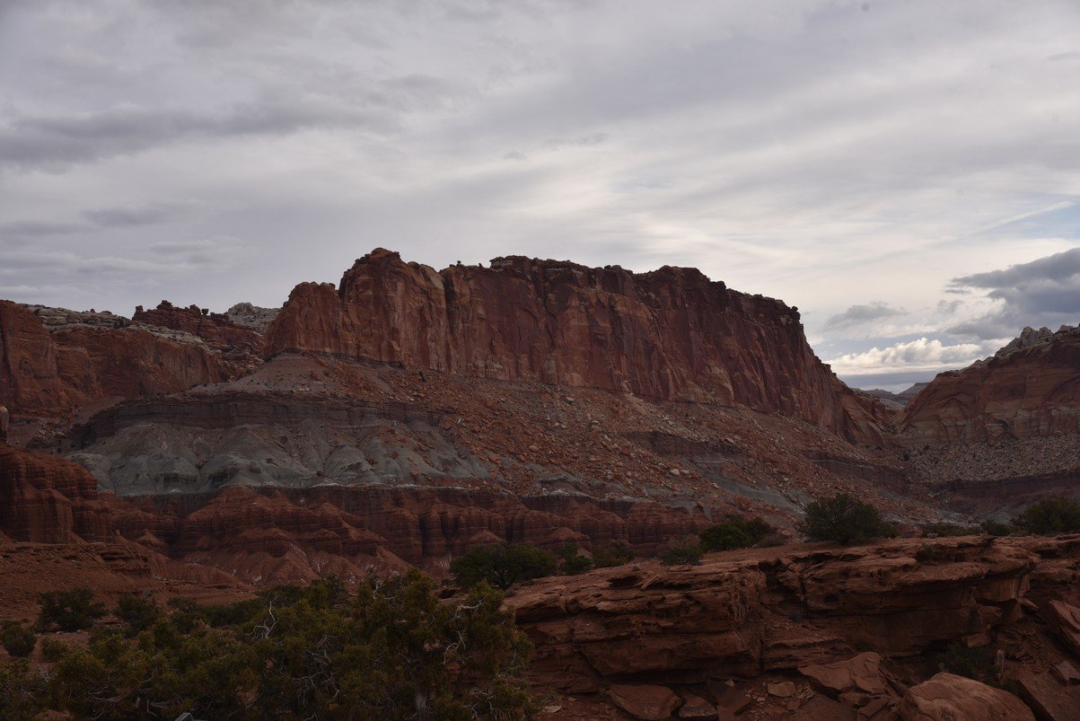 dsc_3563_fs.jpg