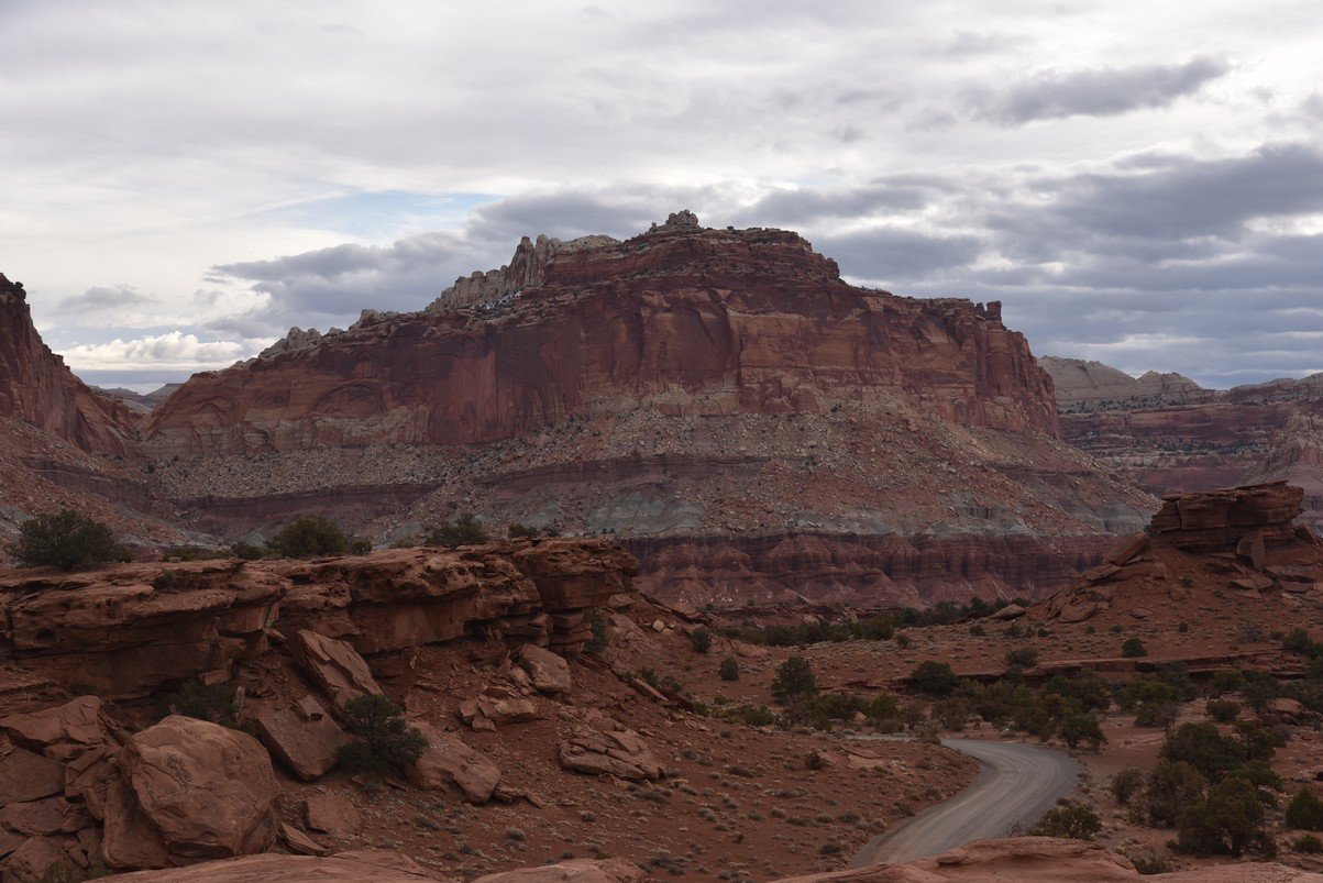 dsc_3564_fs.jpg