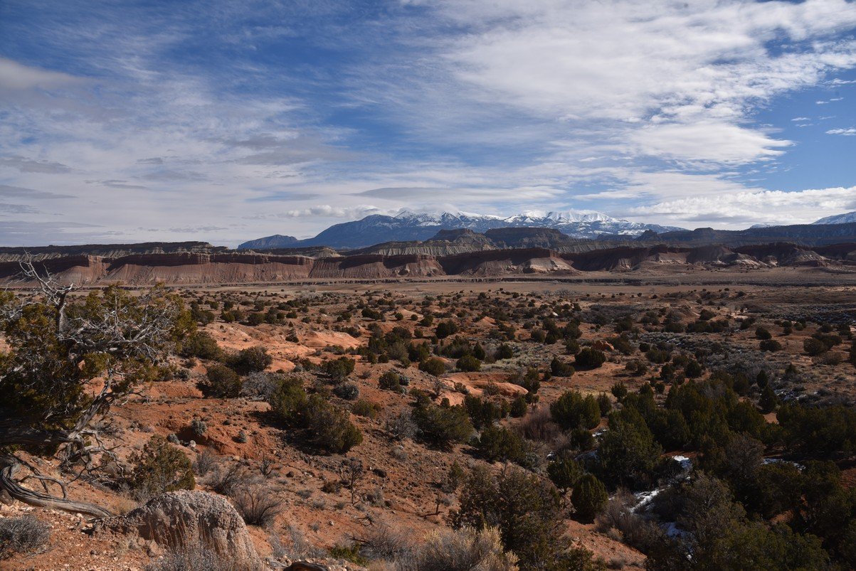 dsc_3616_fs.jpg