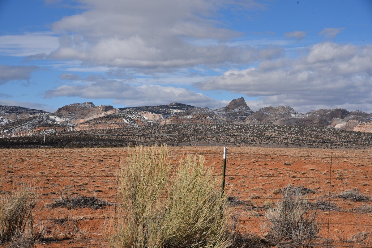 dsc_3642_fs.jpg