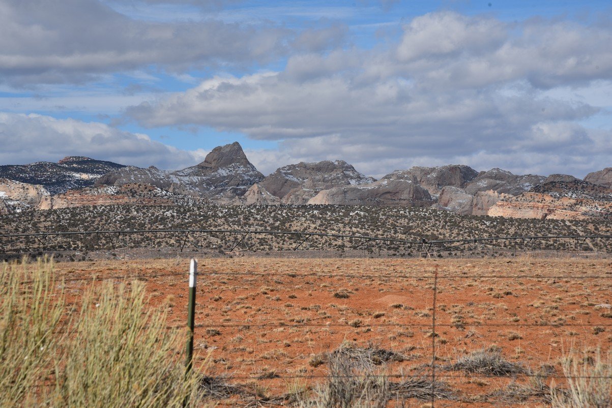 dsc_3651_fs.jpg