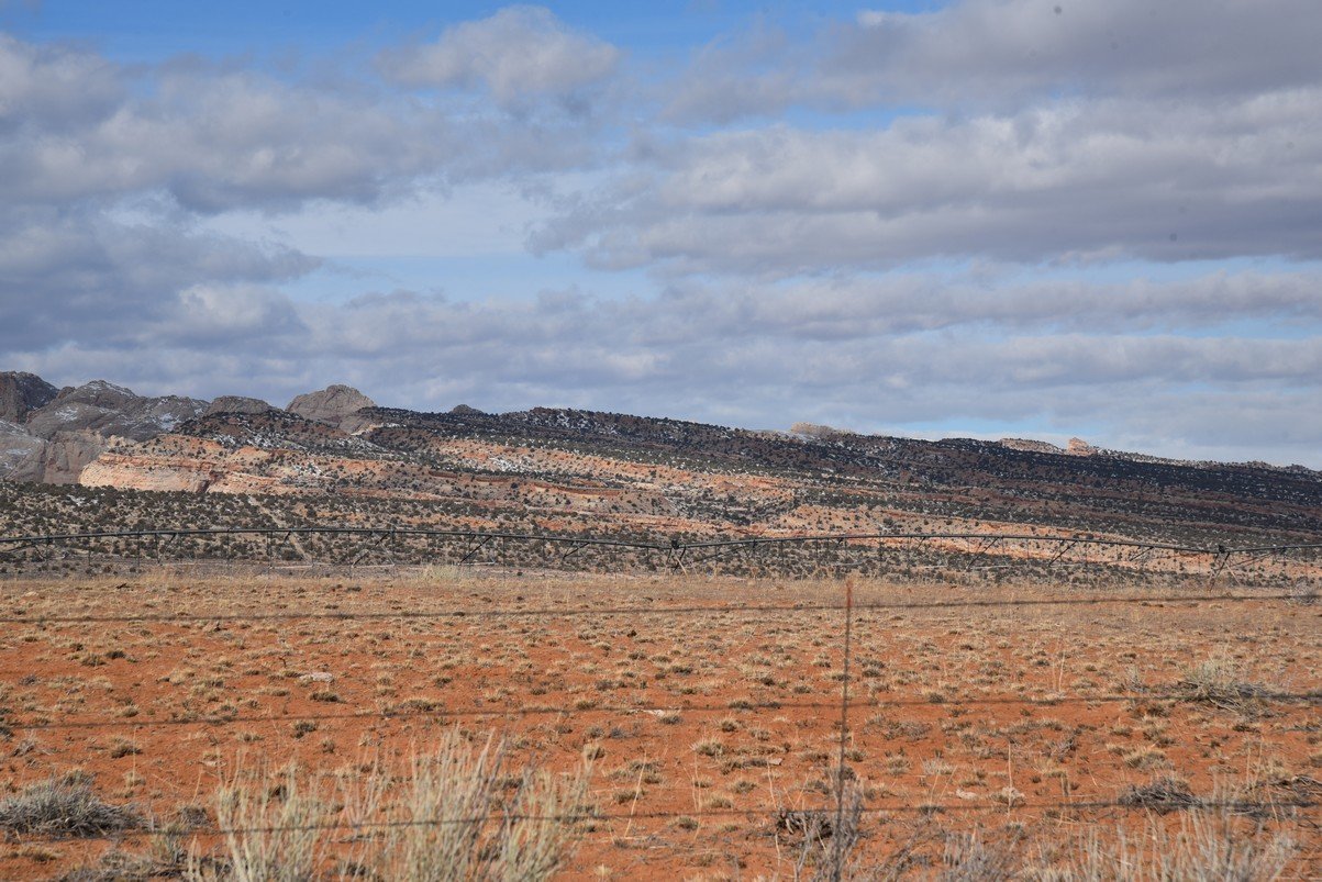 dsc_3653_fs.jpg