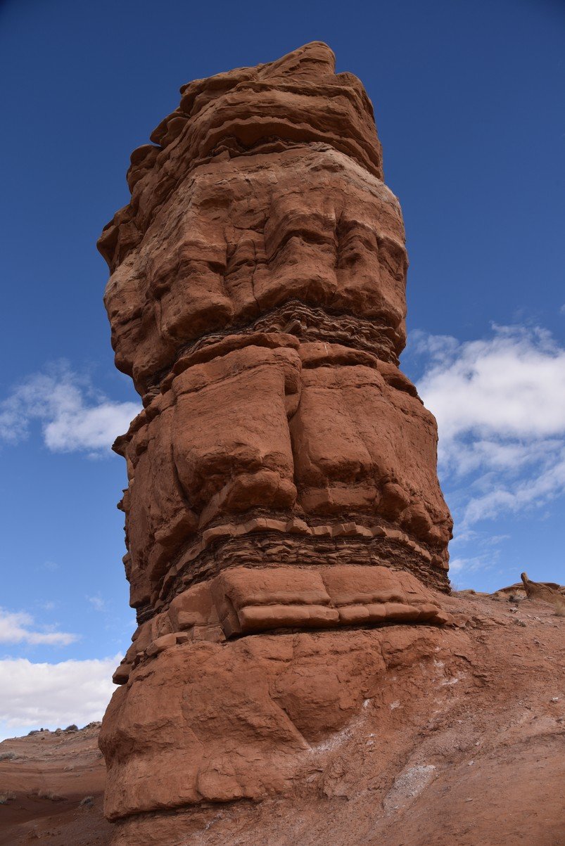 dsc_3662_fs.jpg