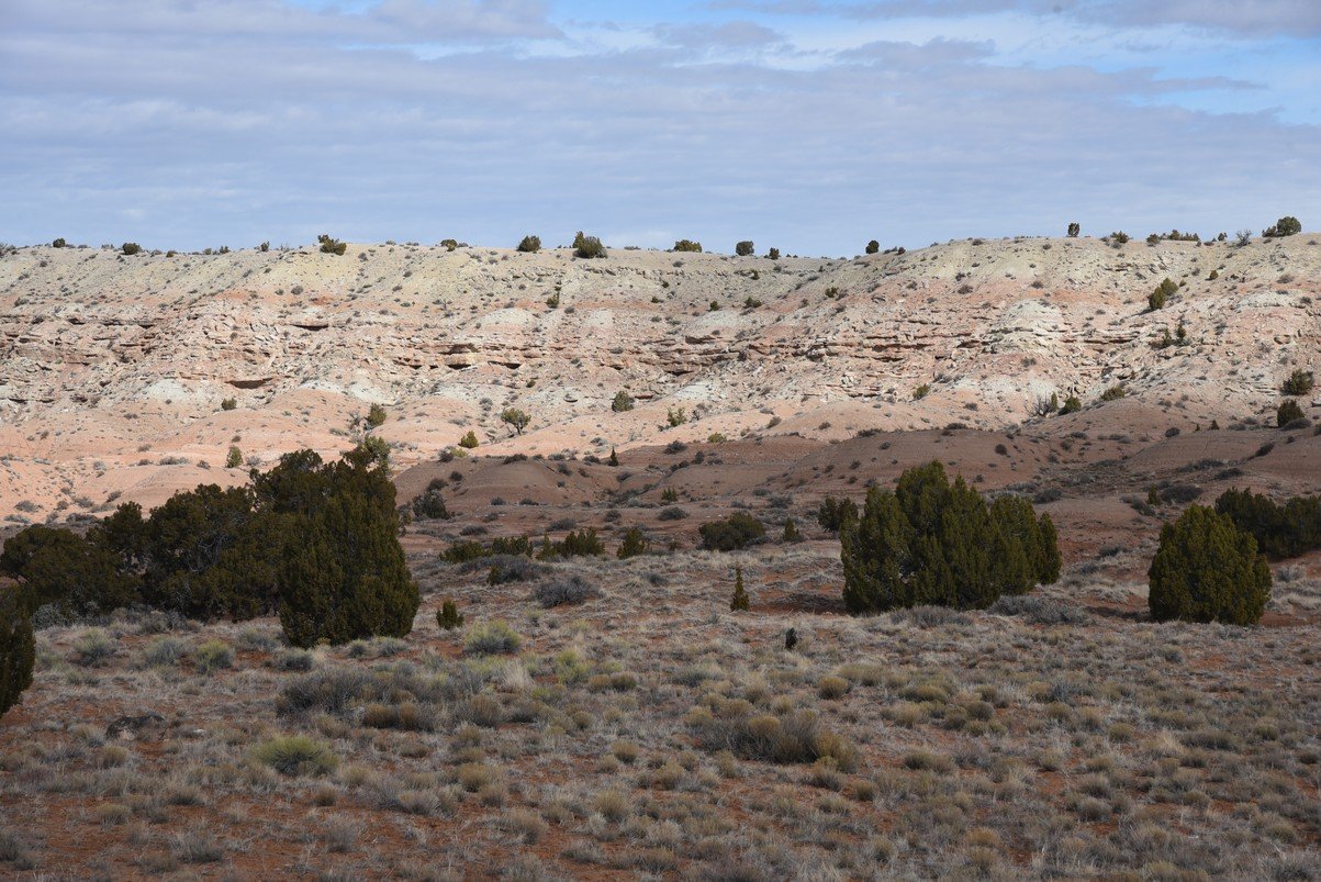 dsc_3677_fs.jpg