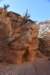 dsc_3694_fs_small.jpg