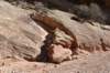 dsc_3698_fs_small.jpg