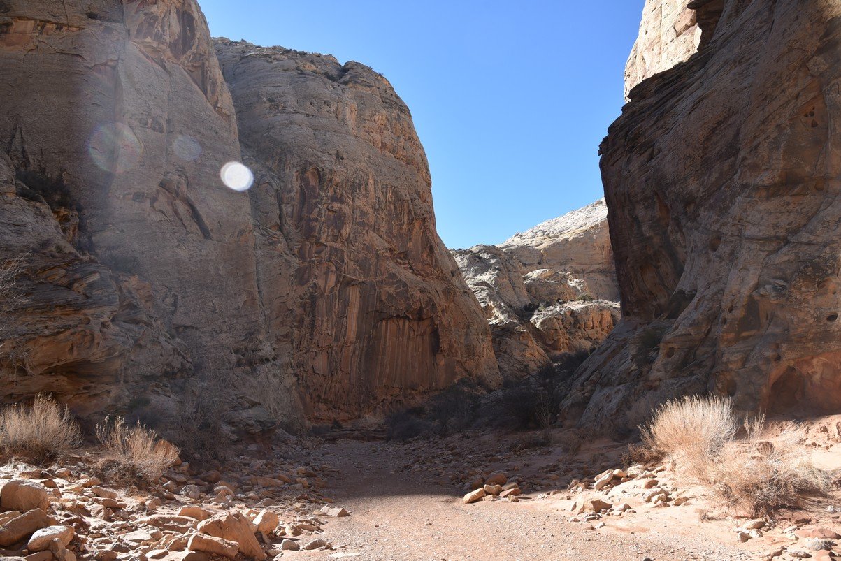dsc_3699_fs.jpg