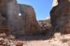 dsc_3699_fs_small.jpg