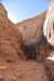 dsc_3700_fs_small.jpg