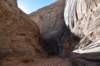 dsc_3701_fs_small.jpg