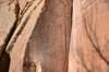 dsc_3765_fs_small.jpg