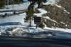 dsc_3788_fs_small.jpg