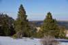 dsc_3789_fs_small.jpg
