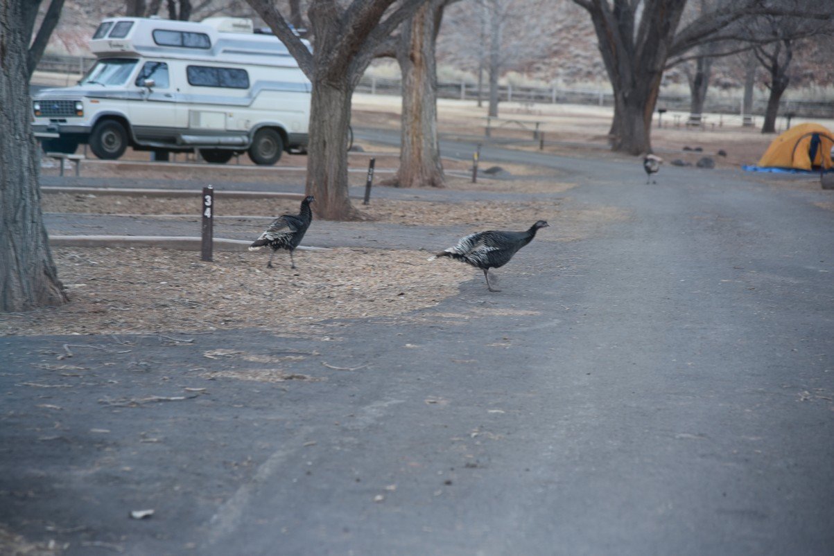 dsc_3885_fs.jpg