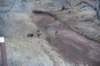 dsc_3886_fs_small.jpg