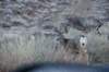 dsc_3889_fs_small.jpg