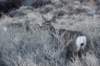 dsc_3890_fs_small.jpg