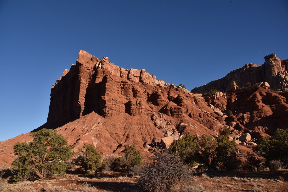 dsc_3900_fs.jpg