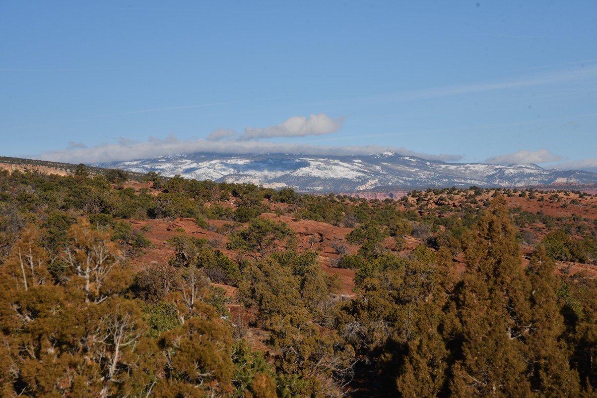dsc_3907_fs.jpg