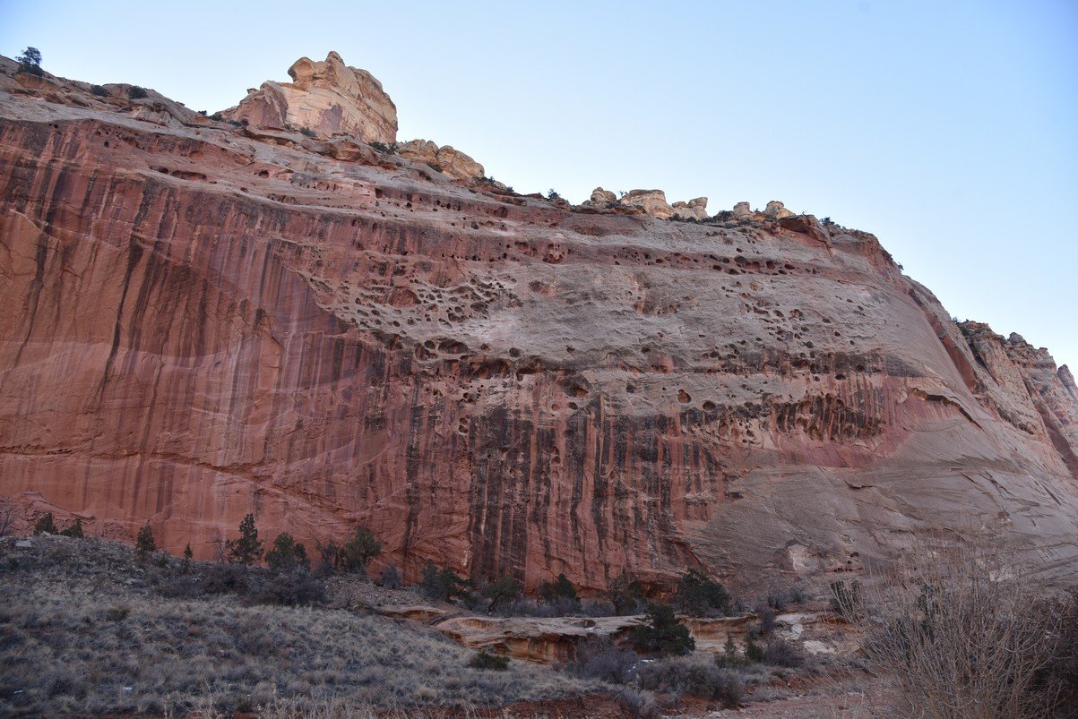 dsc_3938_fs.jpg