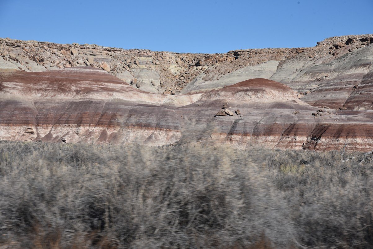 dsc_3998_fs.jpg