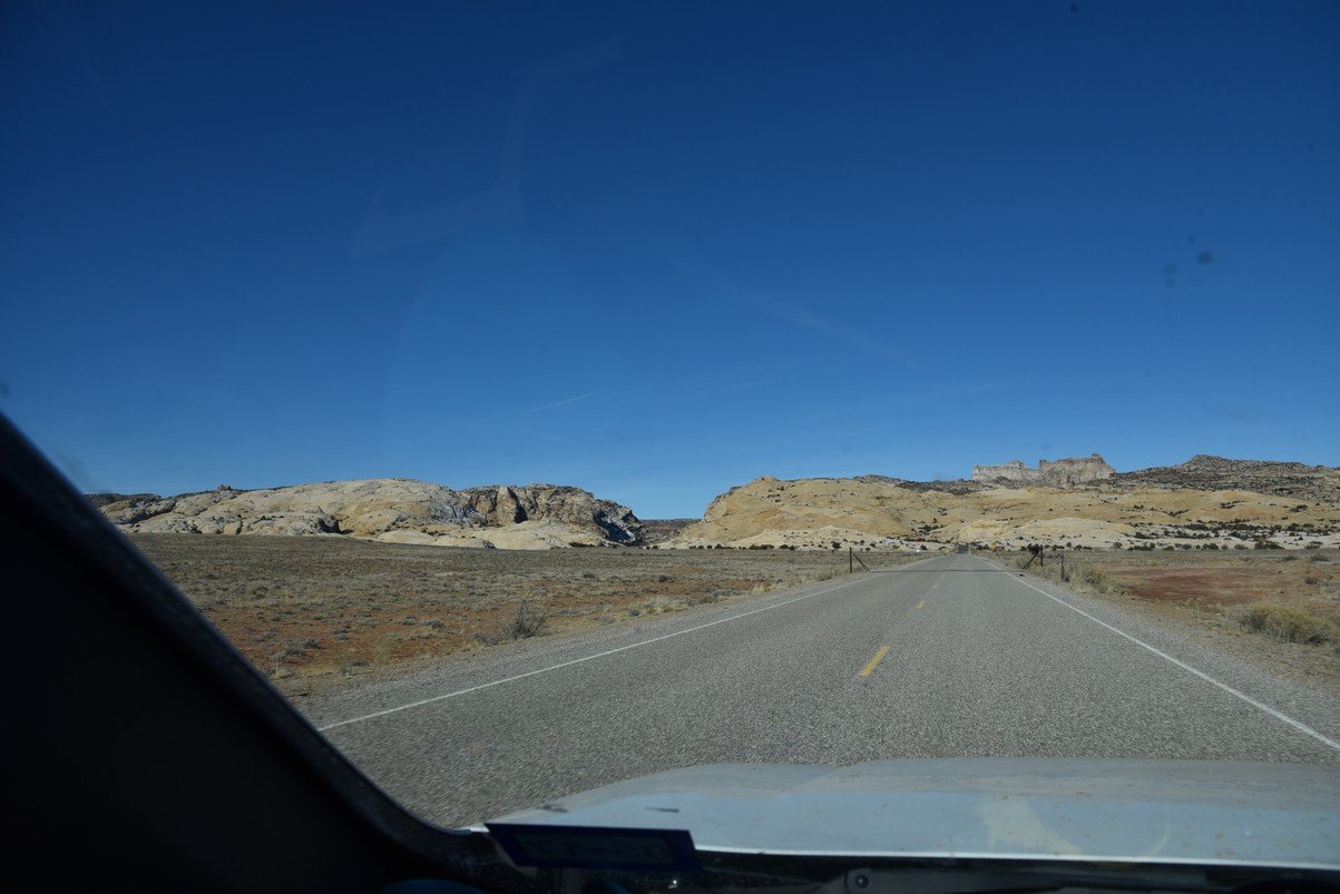 dsc_4010_fs.jpg