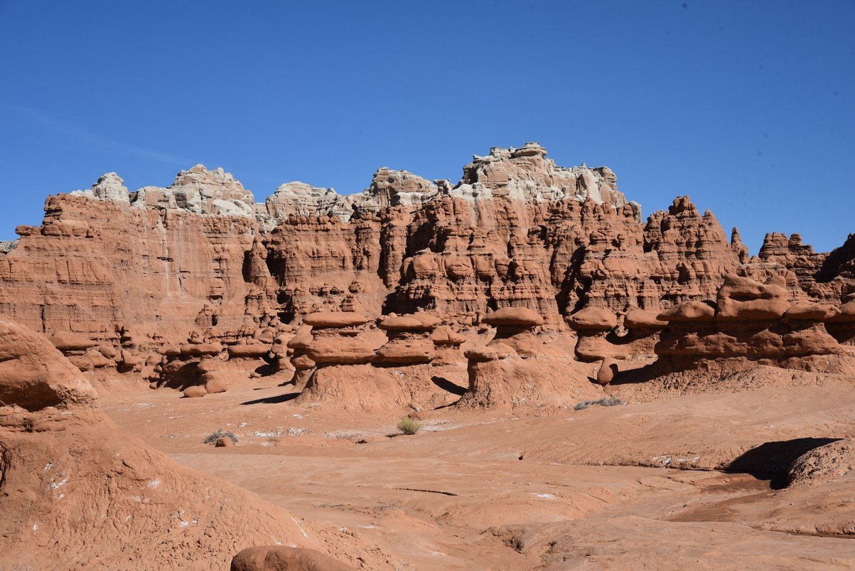 dsc_4046_fs.jpg