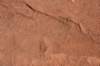 dsc_4057_fs_small.jpg