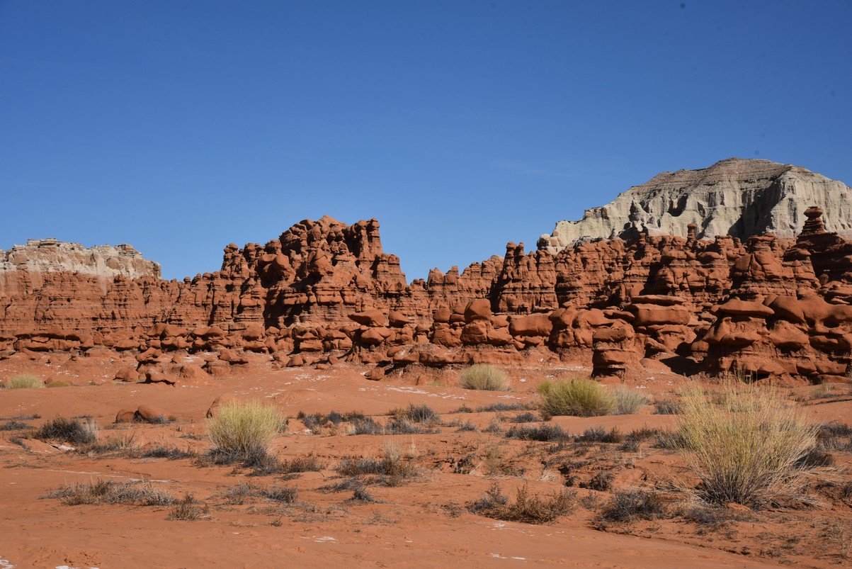 dsc_4098_fs.jpg