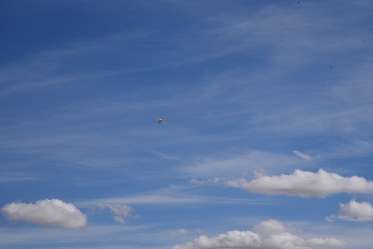 dsc_4139_fs.jpg