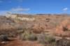 dsc_4194_fs_small.jpg