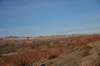 dsc_4227_fs_small.jpg