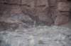 dsc_4243_fs_small.jpg