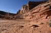 dsc_4294_fs_small.jpg