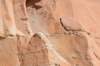 dsc_4330_fs_small.jpg