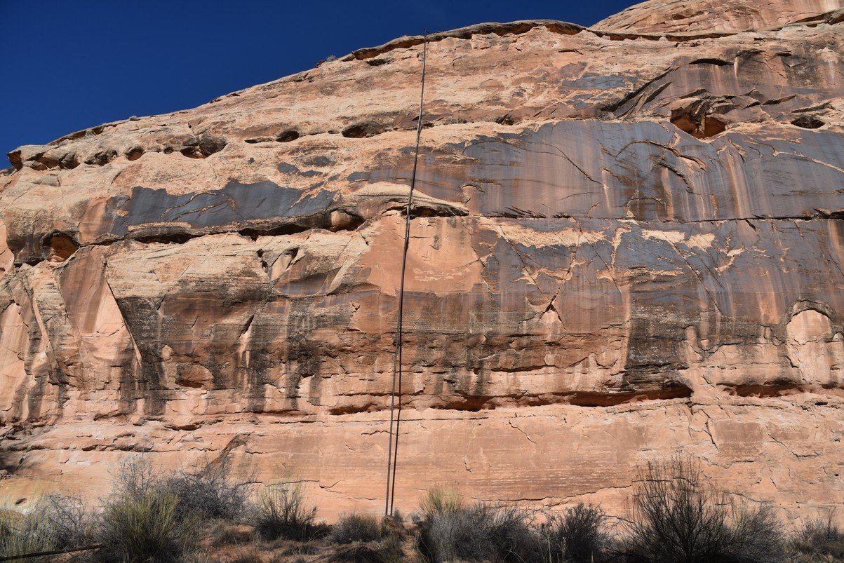 dsc_4333backonthetrail.jpg