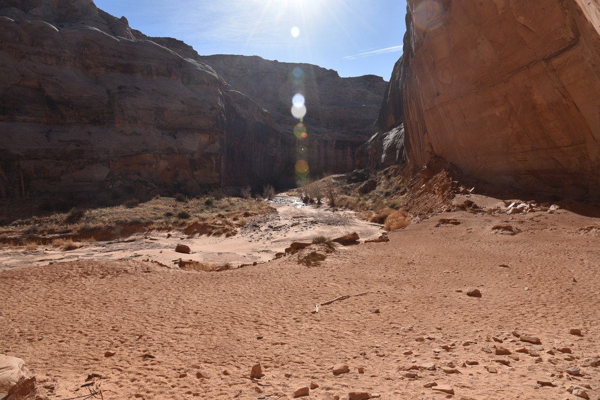 dsc_4379backonthetrail.jpg