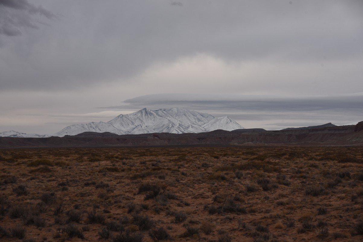 dsc_4491_fs.jpg